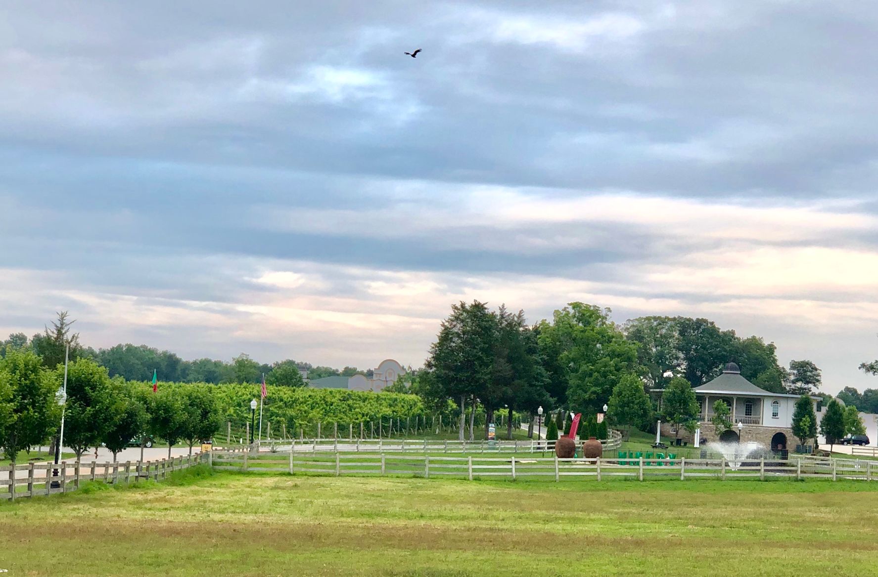 morais winery and vineyards